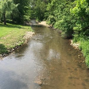 Meet your Posher, Jodi